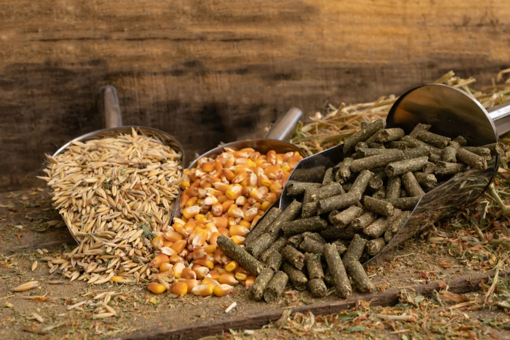 pasze-dla-zwirzat